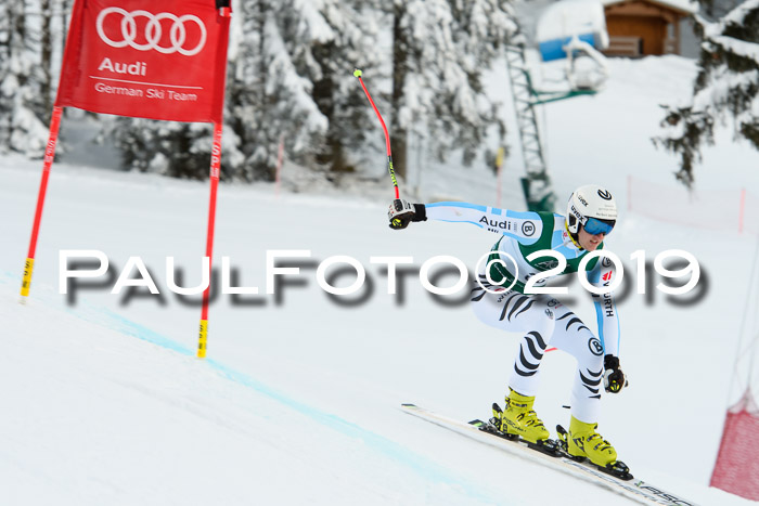 NJC + FIS, Super-G, Herren, 06.02.2019