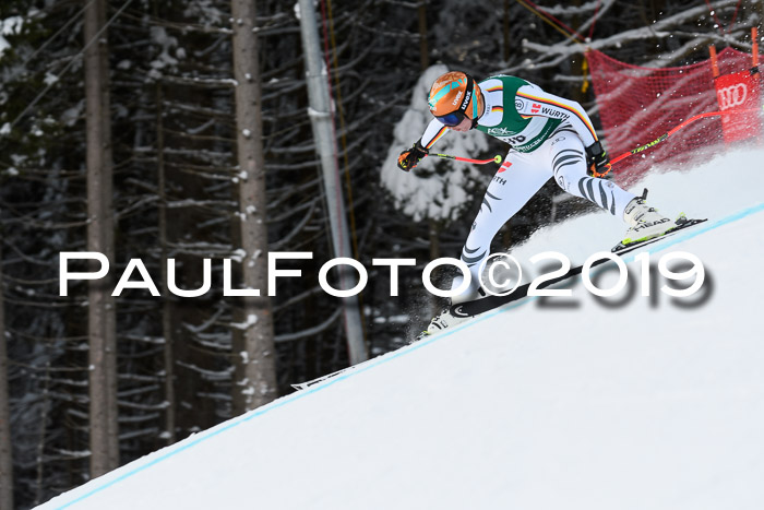 NJC + FIS, Super-G, Herren, 06.02.2019