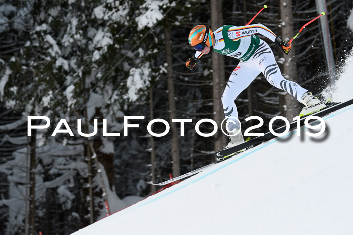NJC + FIS, Super-G, Herren, 06.02.2019