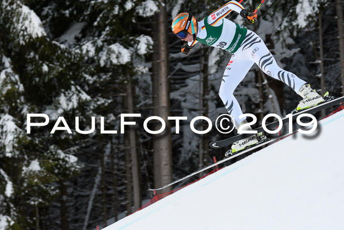 NJC + FIS, Super-G, Herren, 06.02.2019