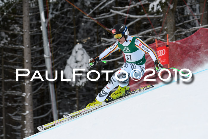 NJC + FIS, Super-G, Herren, 06.02.2019