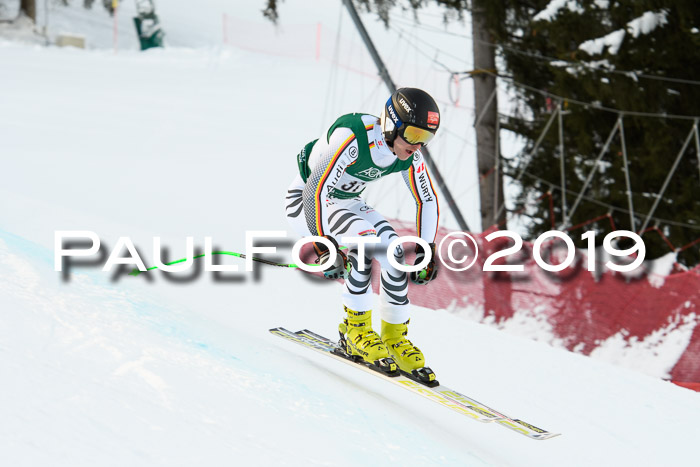 NJC + FIS, Super-G, Herren, 06.02.2019