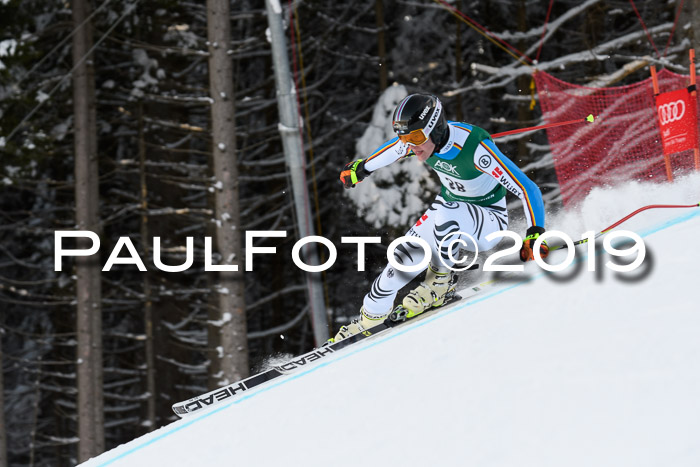 NJC + FIS, Super-G, Herren, 06.02.2019