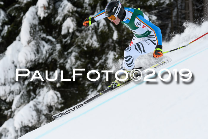 NJC + FIS, Super-G, Herren, 06.02.2019
