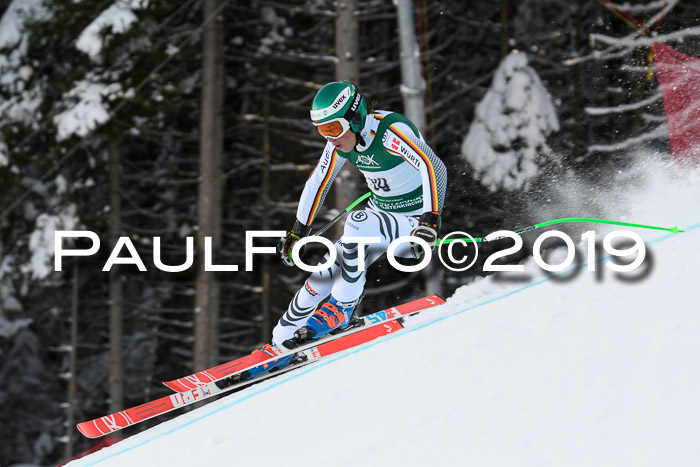 NJC + FIS, Super-G, Herren, 06.02.2019