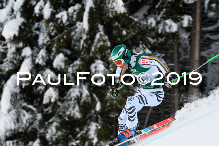 NJC + FIS, Super-G, Herren, 06.02.2019