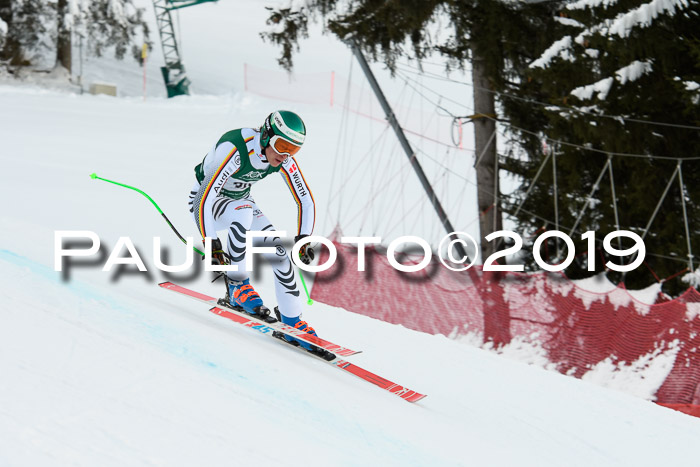 NJC + FIS, Super-G, Herren, 06.02.2019