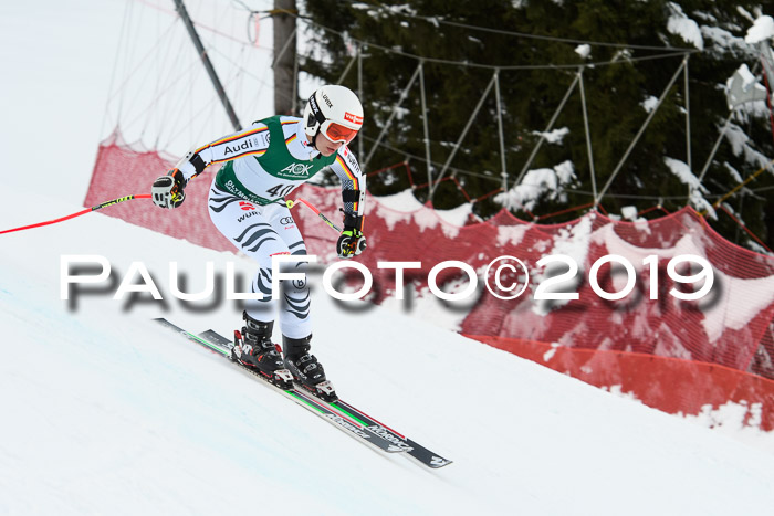 NJC + FIS, Super-G, Herren, 06.02.2019