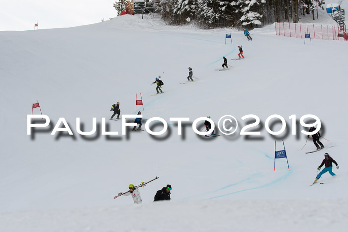 NJC + FIS, Super-G, Herren, 06.02.2019