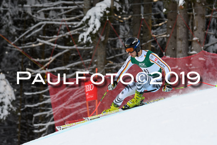 NJC + FIS, Super-G, Herren, 06.02.2019