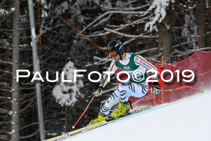 NJC + FIS, Super-G, Herren, 06.02.2019