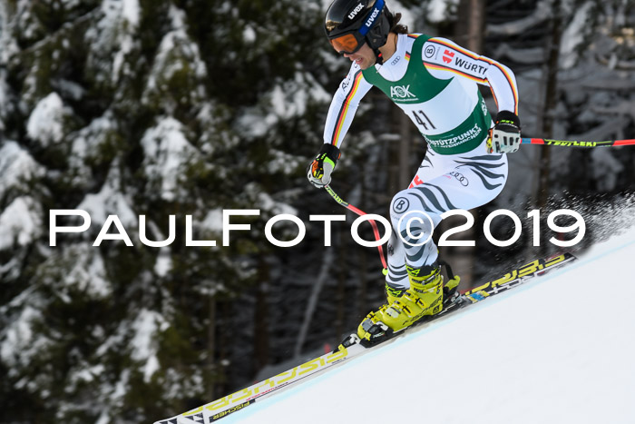 NJC + FIS, Super-G, Herren, 06.02.2019