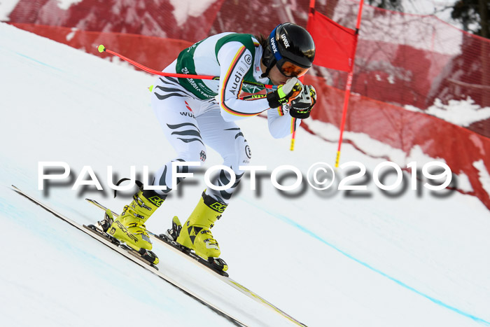 NJC + FIS, Super-G, Herren, 06.02.2019