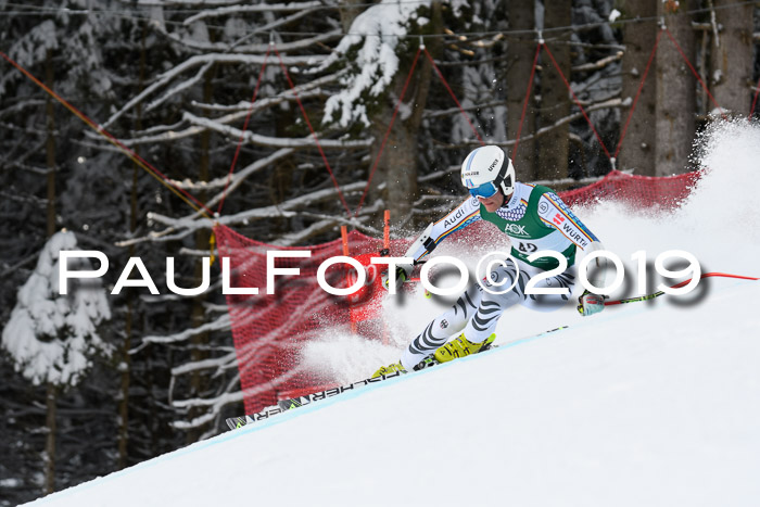 NJC + FIS, Super-G, Herren, 06.02.2019