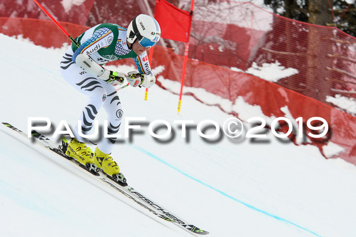 NJC + FIS, Super-G, Herren, 06.02.2019