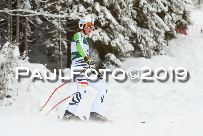 NJC + FIS, Super-G, Herren, 06.02.2019