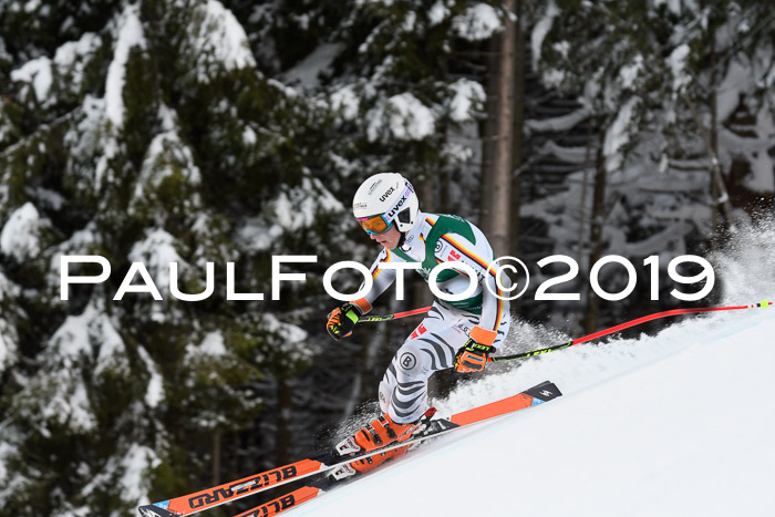 NJC + FIS, Super-G, Herren, 06.02.2019