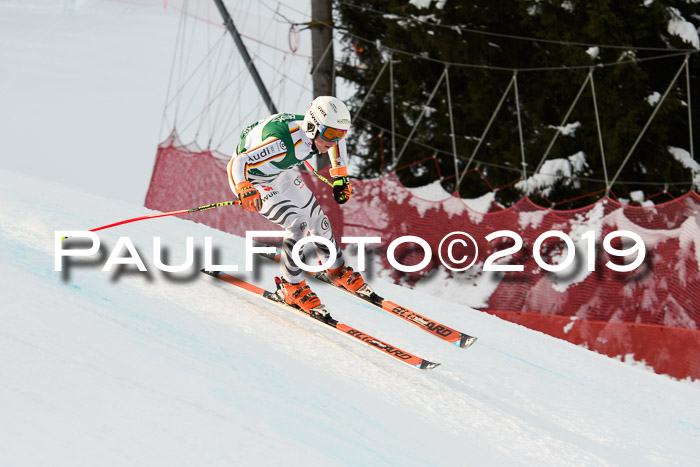 NJC + FIS, Super-G, Herren, 06.02.2019