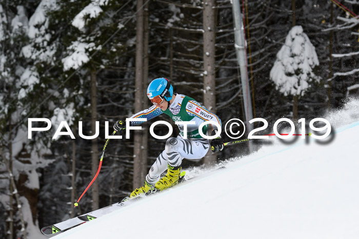 NJC + FIS, Super-G, Herren, 06.02.2019
