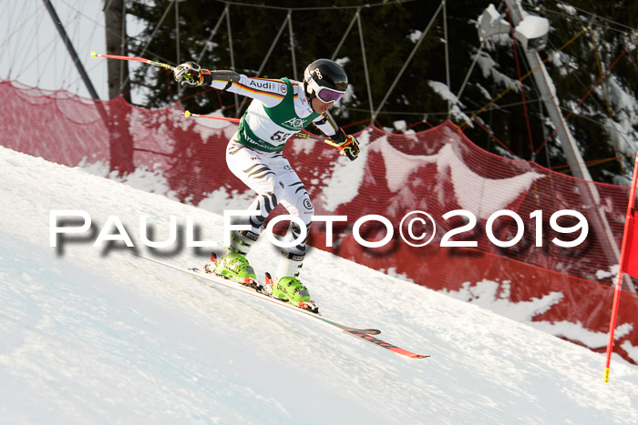 NJC + FIS, Super-G, Herren, 06.02.2019