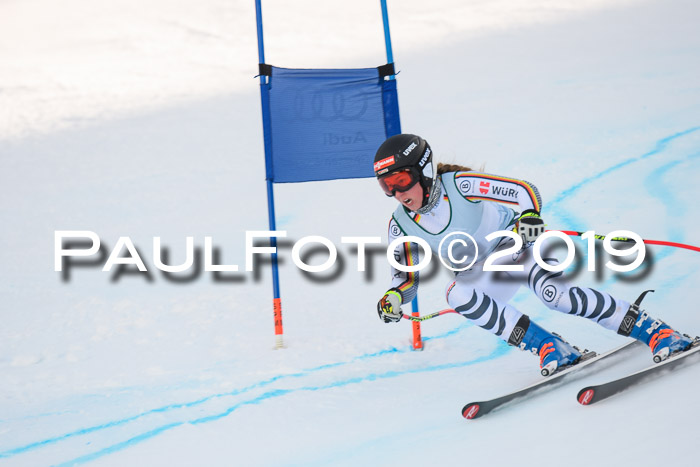NJC + FIS, Super-G, Herren, 06.02.2019