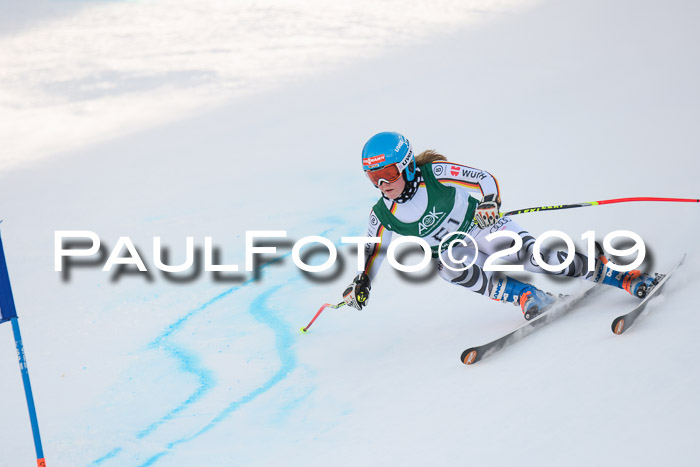 NJC + FIS, Super-G, Herren, 06.02.2019