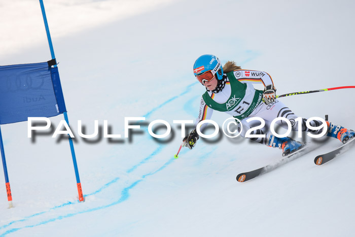 NJC + FIS, Super-G, Herren, 06.02.2019