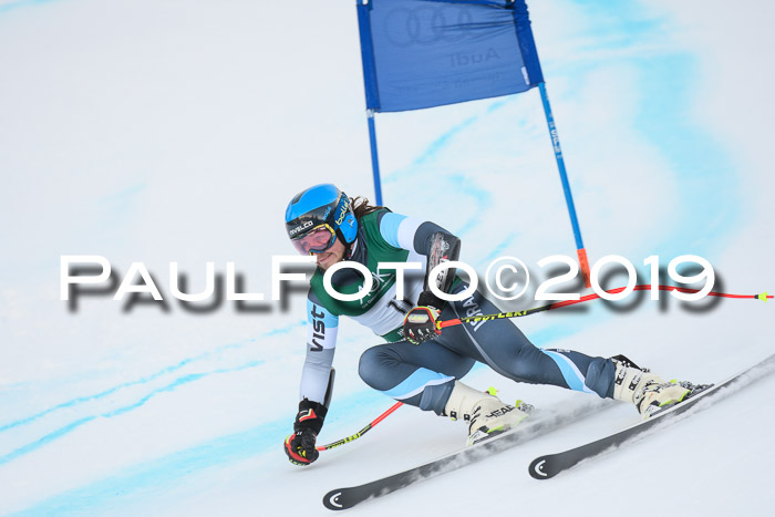 NJC + FIS, Super-G, Herren, 06.02.2019