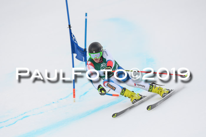 NJC + FIS, Super-G, Herren, 06.02.2019