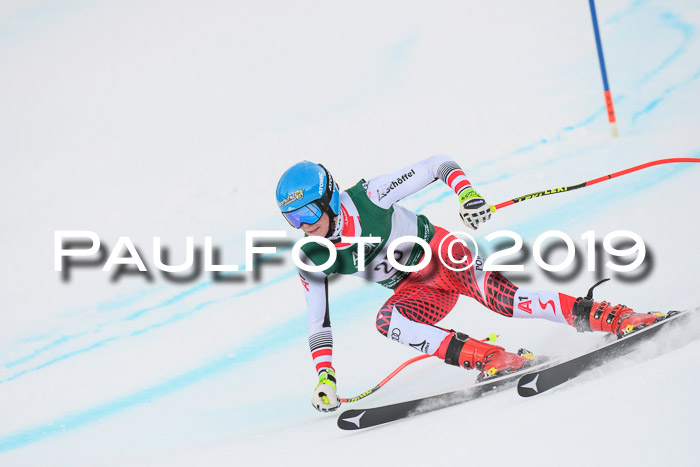NJC + FIS, Super-G, Herren, 06.02.2019