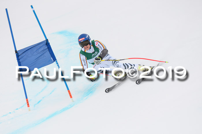 NJC + FIS, Super-G, Herren, 06.02.2019