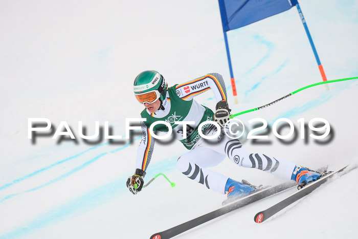 NJC + FIS, Super-G, Herren, 06.02.2019