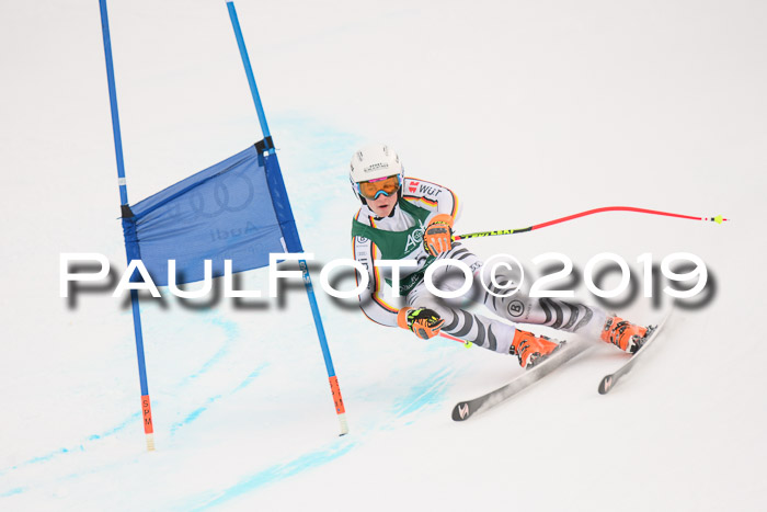 NJC + FIS, Super-G, Herren, 06.02.2019