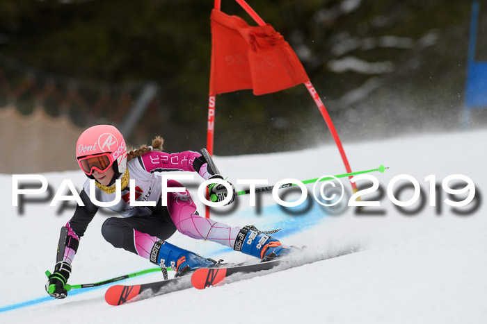 5. BZB CUP RS, + Werdenfelser Meisterschaft + U18, 10.02.2019