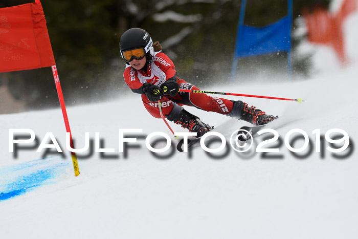 5. BZB CUP RS, + Werdenfelser Meisterschaft + U18, 10.02.2019