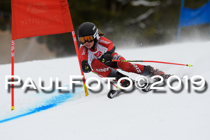 5. BZB CUP RS, + Werdenfelser Meisterschaft + U18, 10.02.2019