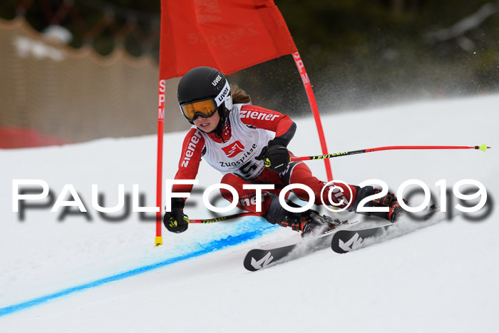 5. BZB CUP RS, + Werdenfelser Meisterschaft + U18, 10.02.2019