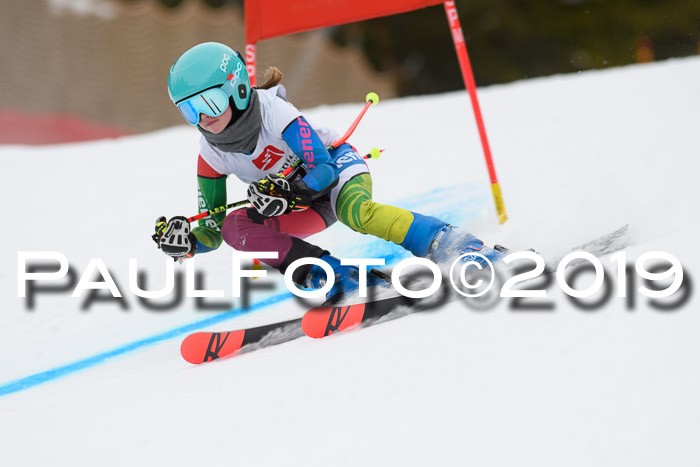 5. BZB CUP RS, + Werdenfelser Meisterschaft + U18, 10.02.2019