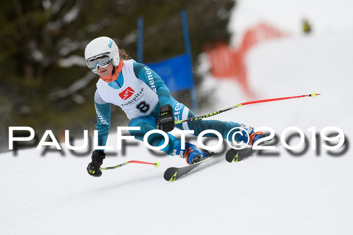 5. BZB CUP RS, + Werdenfelser Meisterschaft + U18, 10.02.2019