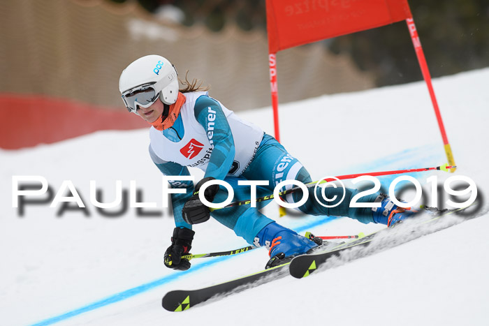 5. BZB CUP RS, + Werdenfelser Meisterschaft + U18, 10.02.2019