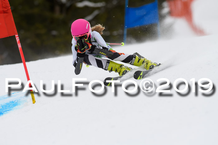 5. BZB CUP RS, + Werdenfelser Meisterschaft + U18, 10.02.2019