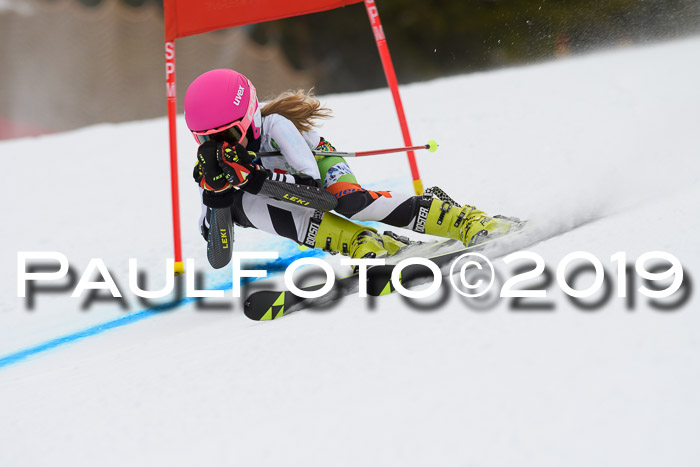 5. BZB CUP RS, + Werdenfelser Meisterschaft + U18, 10.02.2019