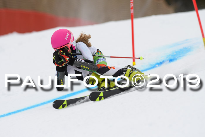 5. BZB CUP RS, + Werdenfelser Meisterschaft + U18, 10.02.2019