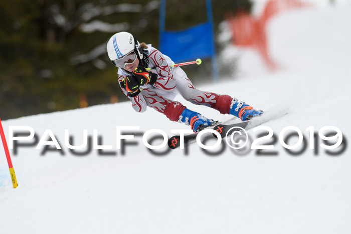 5. BZB CUP RS, + Werdenfelser Meisterschaft + U18, 10.02.2019