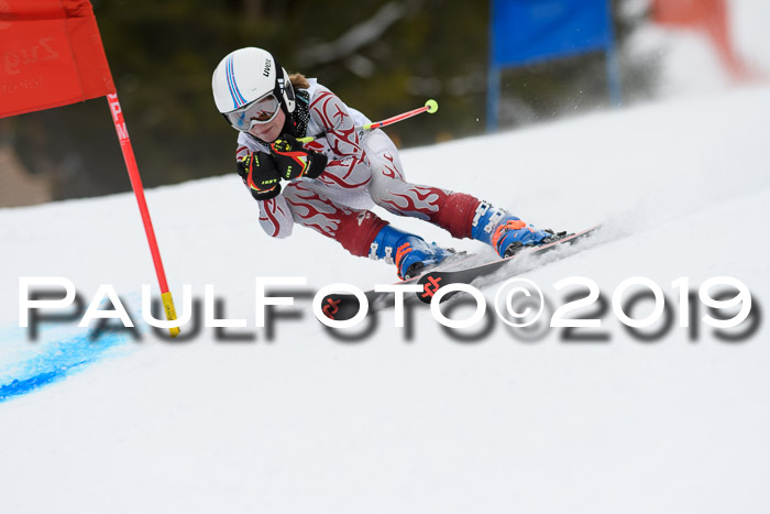 5. BZB CUP RS, + Werdenfelser Meisterschaft + U18, 10.02.2019