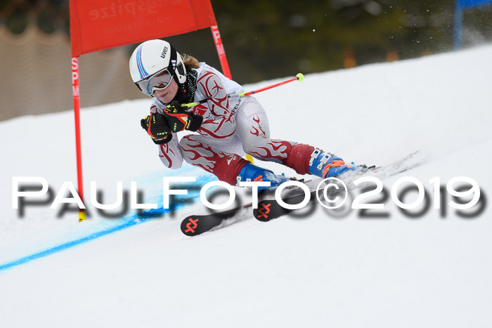 5. BZB CUP RS, + Werdenfelser Meisterschaft + U18, 10.02.2019