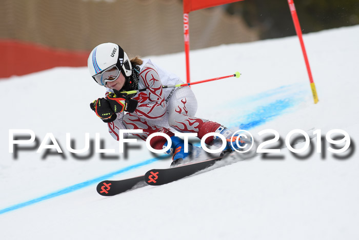 5. BZB CUP RS, + Werdenfelser Meisterschaft + U18, 10.02.2019
