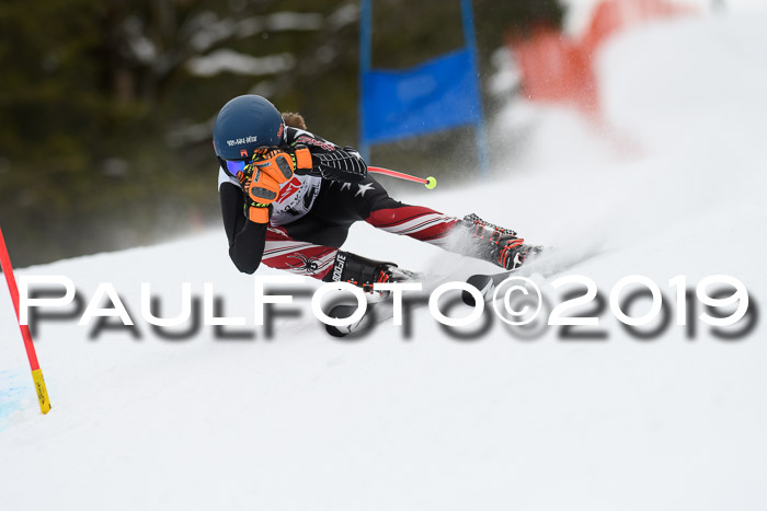 5. BZB CUP RS, + Werdenfelser Meisterschaft + U18, 10.02.2019