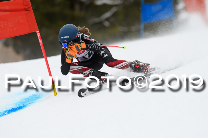 5. BZB CUP RS, + Werdenfelser Meisterschaft + U18, 10.02.2019