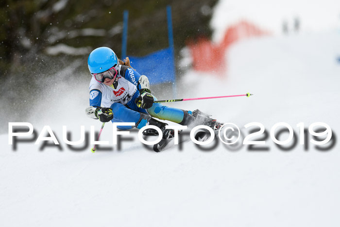 5. BZB CUP RS, + Werdenfelser Meisterschaft + U18, 10.02.2019